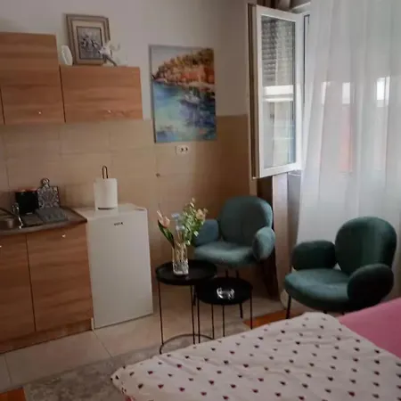 Studio Podgorica 아파트 *
